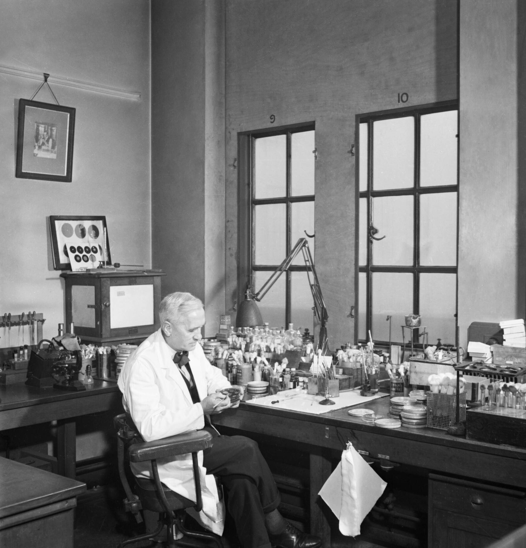 Alexander Fleming trabalhando em seu laboratório no St Mary's Hospital